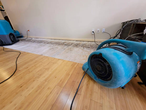 Professional Water Damage Repair technician working in East Greenbush, NY